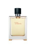HERMES TERRE D'HERMES EDT 100ml