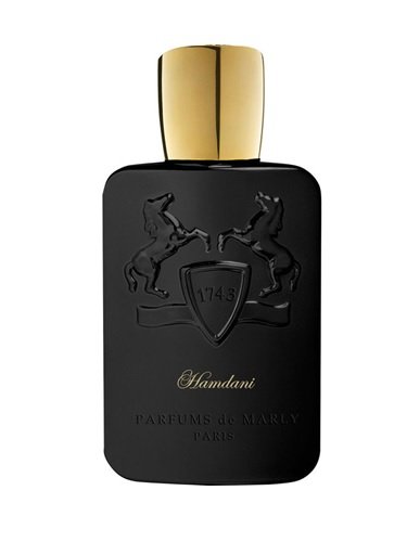 hamdani1a PARFUM DE MARLY HAMDANI ROYAL ESSENCE EDP 125ml - Image 1