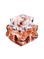 MONT BLANC LADY EMBLEM ELIXIR EDP 75ml