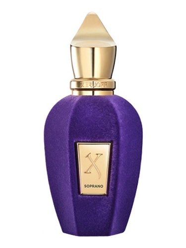 XJ V SOPRANO100 XERJOFF V SOPRANO EDP 100ml - Image 1